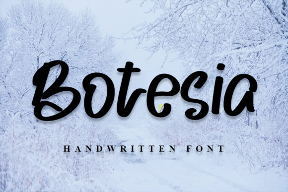 Botesia: The Trendy Script Font for Clear Campaigns