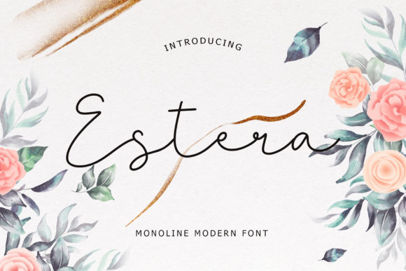 Estera: A Dreamy Handwritten Font for Campaigns