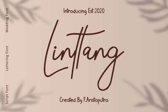 Linttang Font: Elegant Script for Crafters
